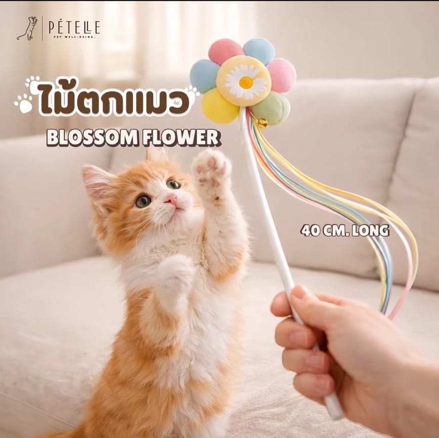 ชุดอุปกรณ์สำหรับแมว PETELLE 5 ชิ้น รุ่น CAT FUN SET_10