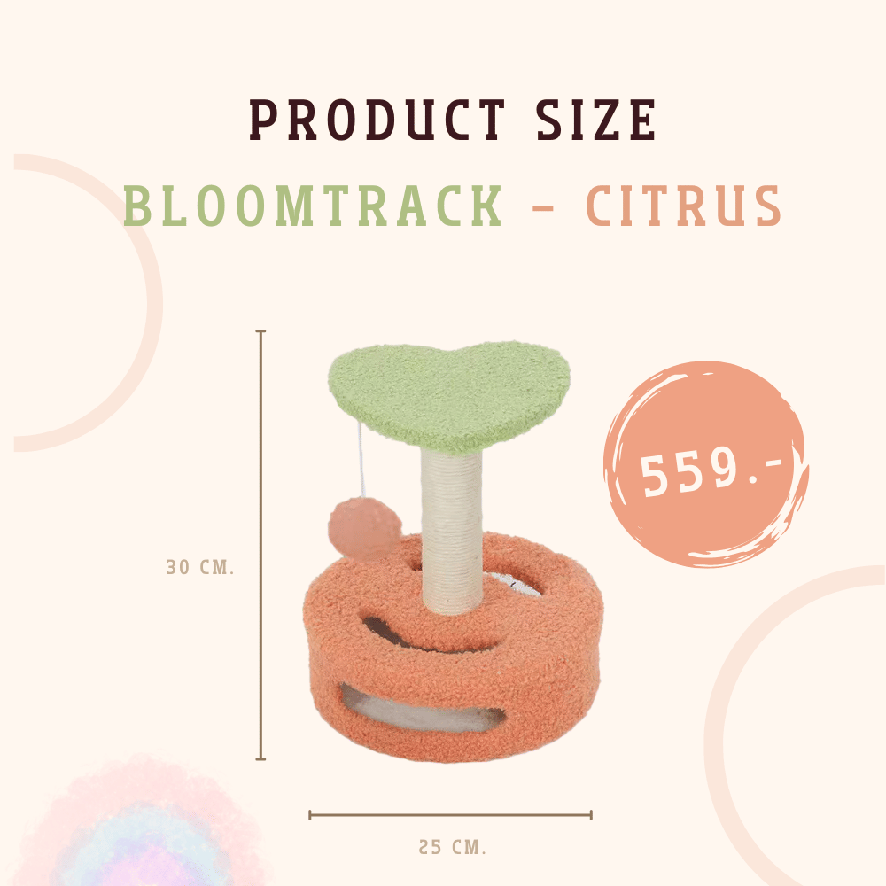 ที่ลับเล็บแมว PETELE รุ่น BLOOMTRACK สี CITRUS พร้อมลูกบอลกลิ้ง_2