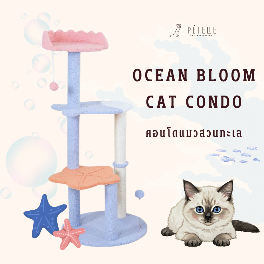 คอนโดแมว PETELE รุ่น OCEAN BLOOM 115 ซม. ฟ้า/ชมพู/ส้ม_2