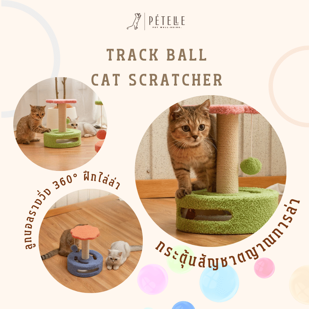 ที่ลับเล็บแมว PETELE รุ่น BLOOMTRACK สี CITRUS พร้อมลูกบอลกลิ้ง_3