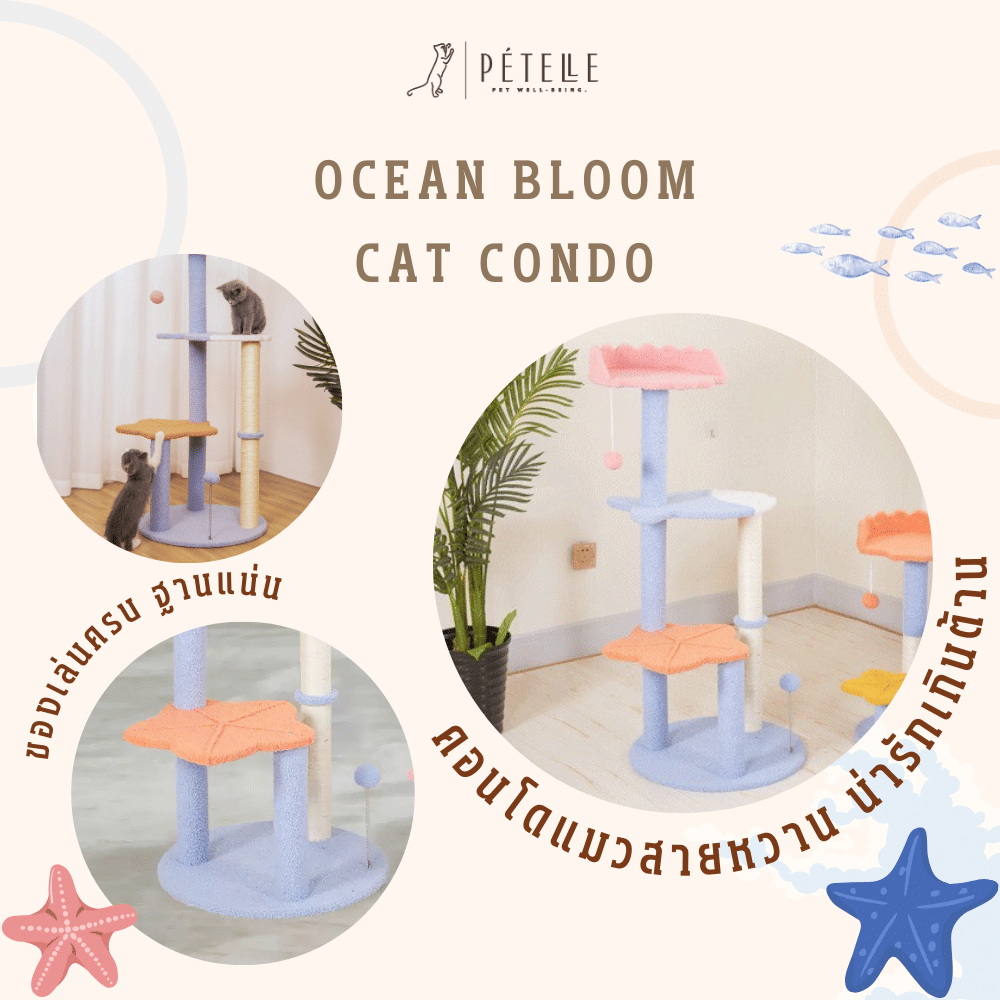 คอนโดแมว PETELE รุ่น OCEAN BLOOM 115 ซม. ฟ้า/ชมพู/ส้ม_3