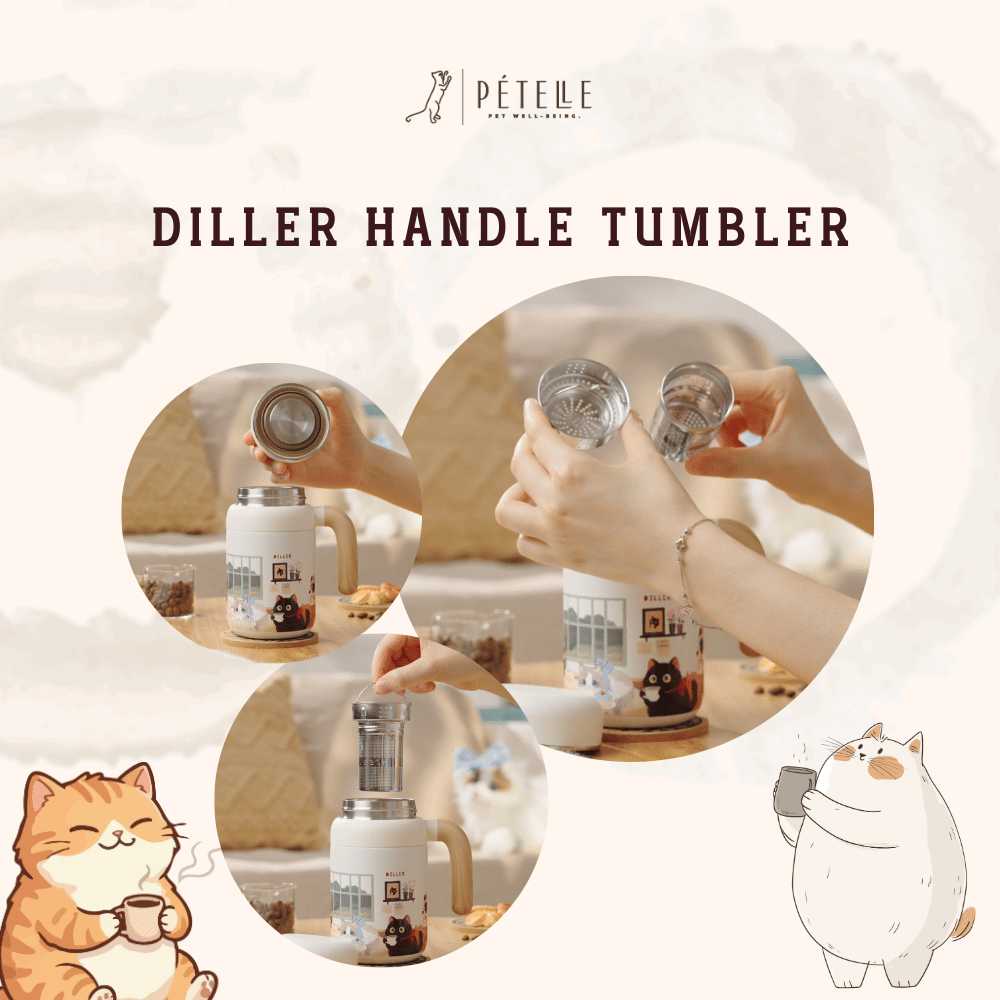 แก้วเก็บอุณหภูมิ พร้อมหูจับ PETELE รุ่น DILLER HANDLE TUMBLER ขนาด 480 มล._3