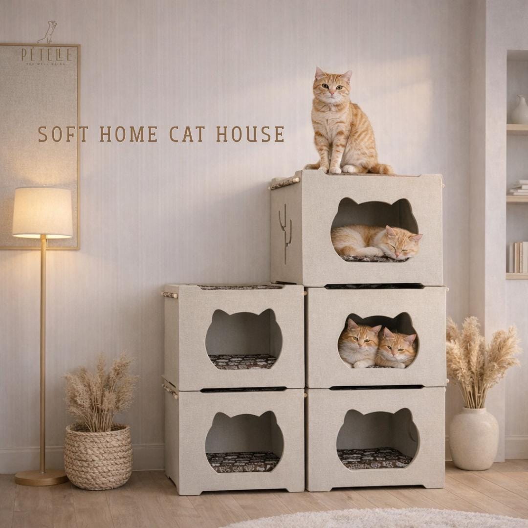 บ้านแมว PETELLE รุ่น CCH-4240 พร้อมเบาะนุ่ม ,สีเบจ_3