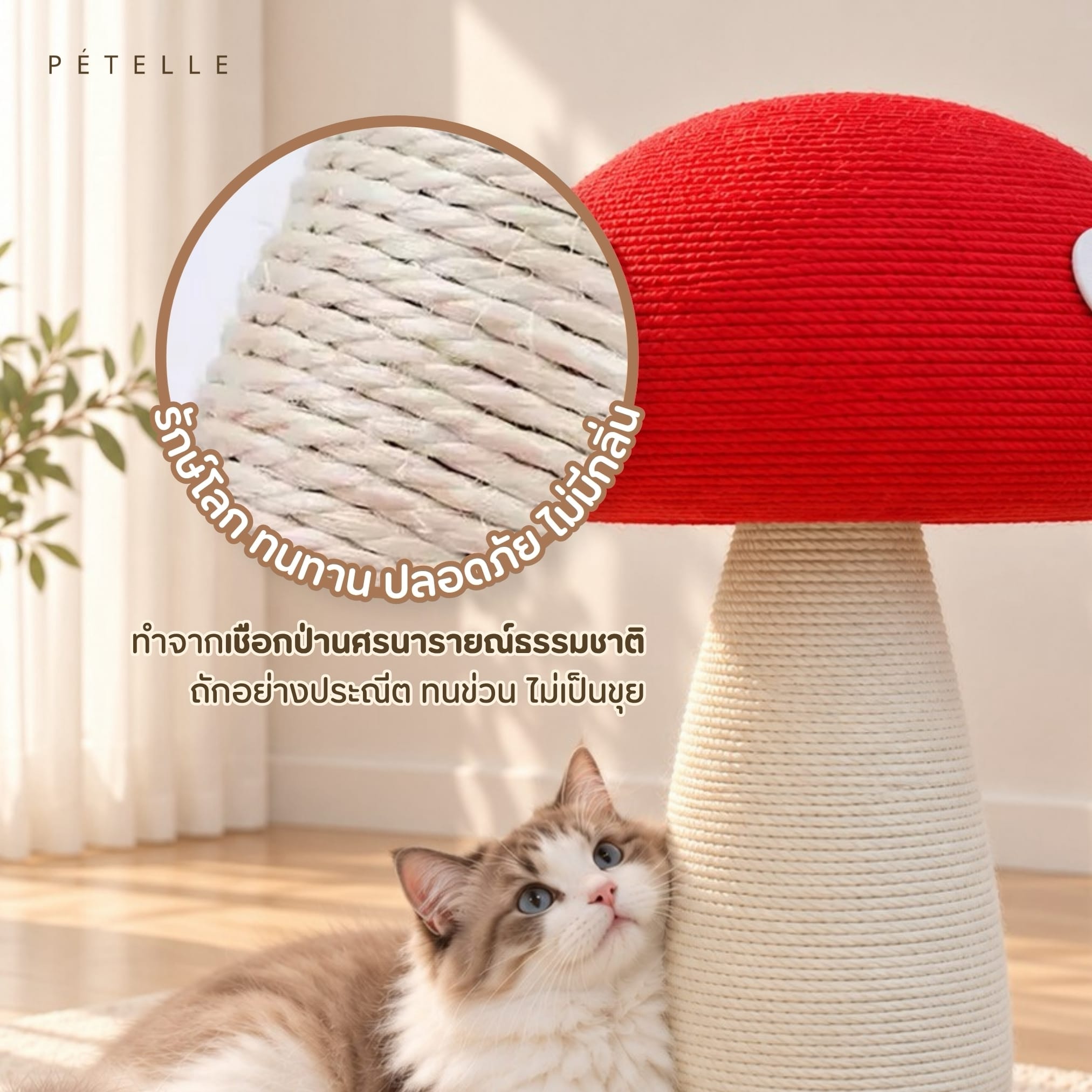ที่ลับเล็บแมว PETELLE รุ่น MUSHROOM SCRATCHER ไซส์ S สีแดง_3