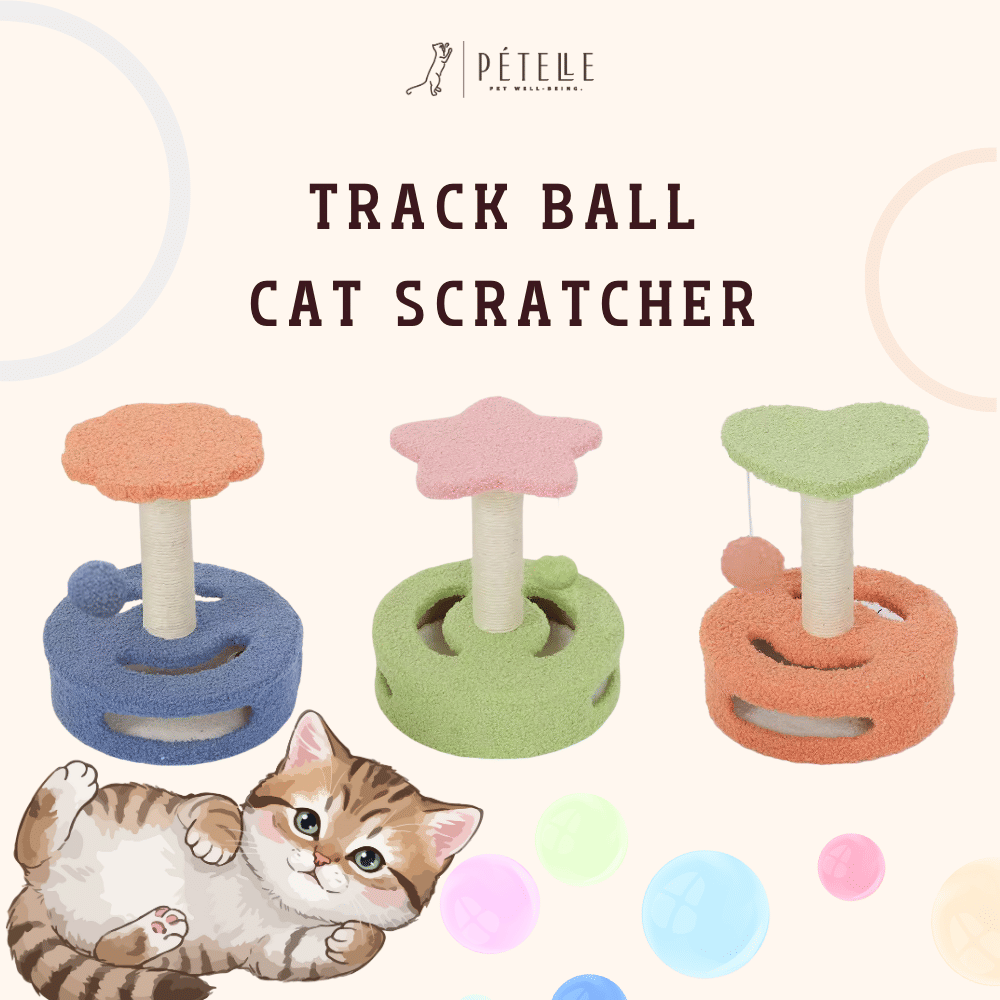 ที่ลับเล็บแมว PETELE รุ่น BLOOMTRACK สี CITRUS พร้อมลูกบอลกลิ้ง_4