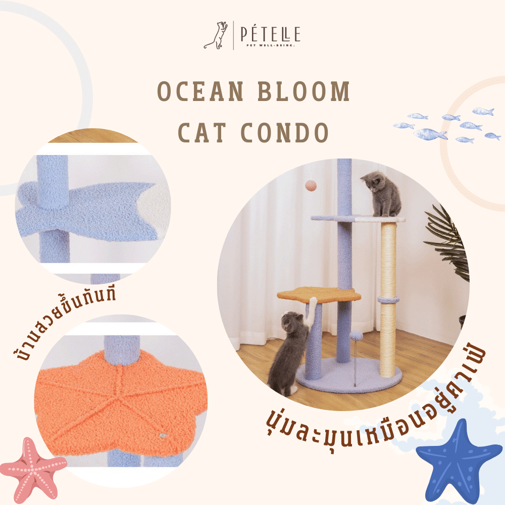 คอนโดแมว PETELE รุ่น OCEAN BLOOM 115 ซม. ฟ้า/ชมพู/ส้ม_4