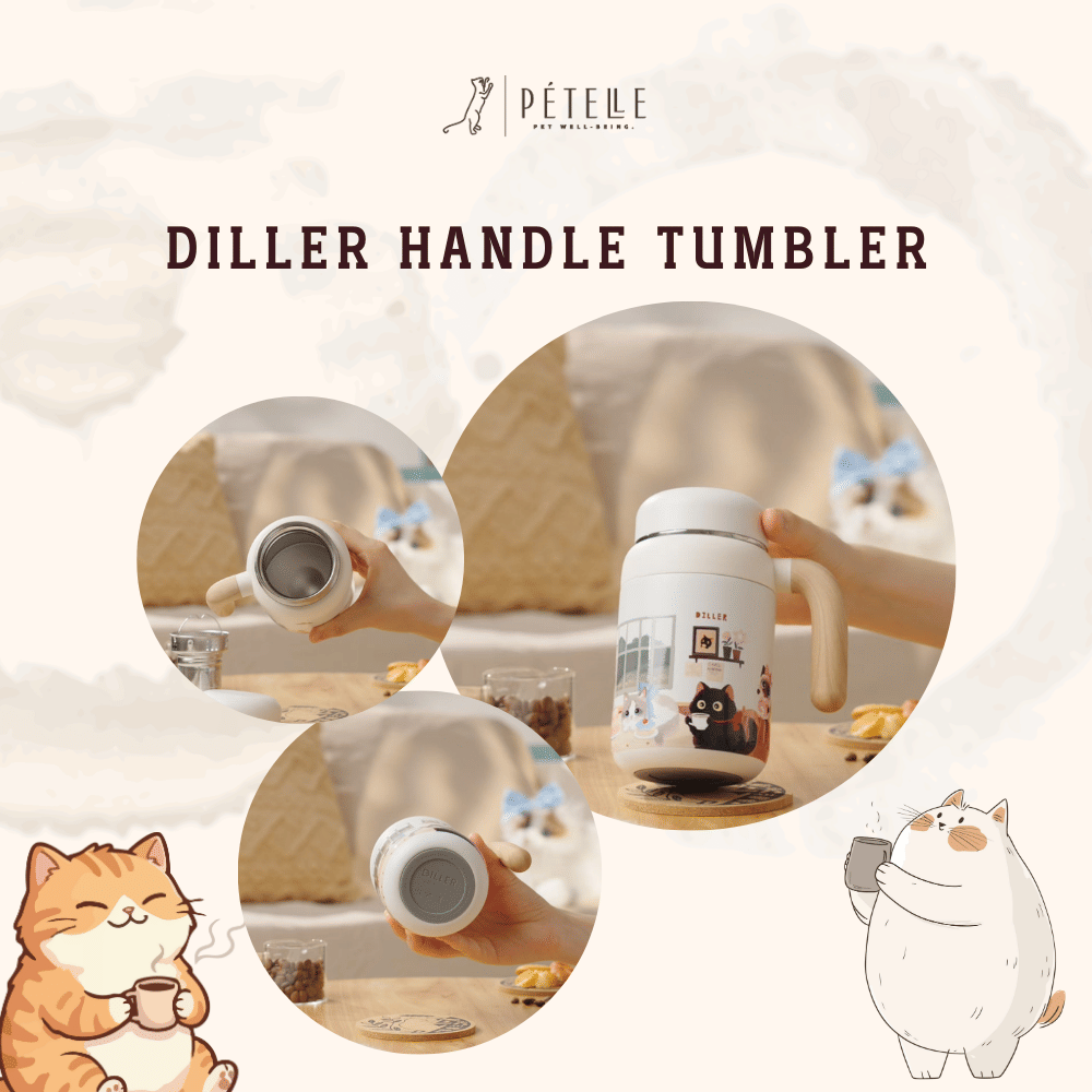 แก้วเก็บอุณหภูมิ พร้อมหูจับ PETELE รุ่น DILLER HANDLE TUMBLER ขนาด 480 มล._4