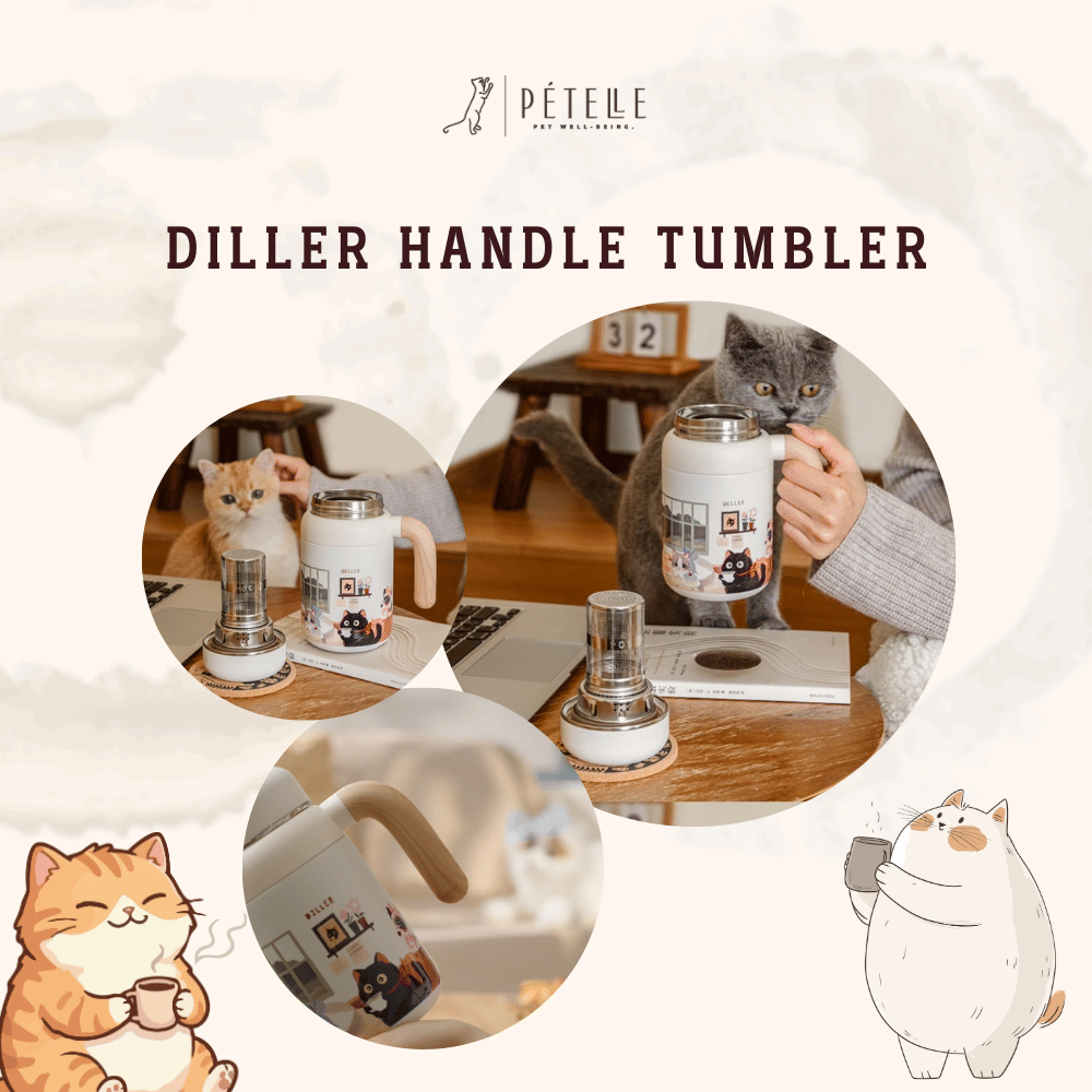 แก้วเก็บอุณหภูมิ พร้อมหูจับ PETELE รุ่น DILLER HANDLE TUMBLER ขนาด 480 มล._5
