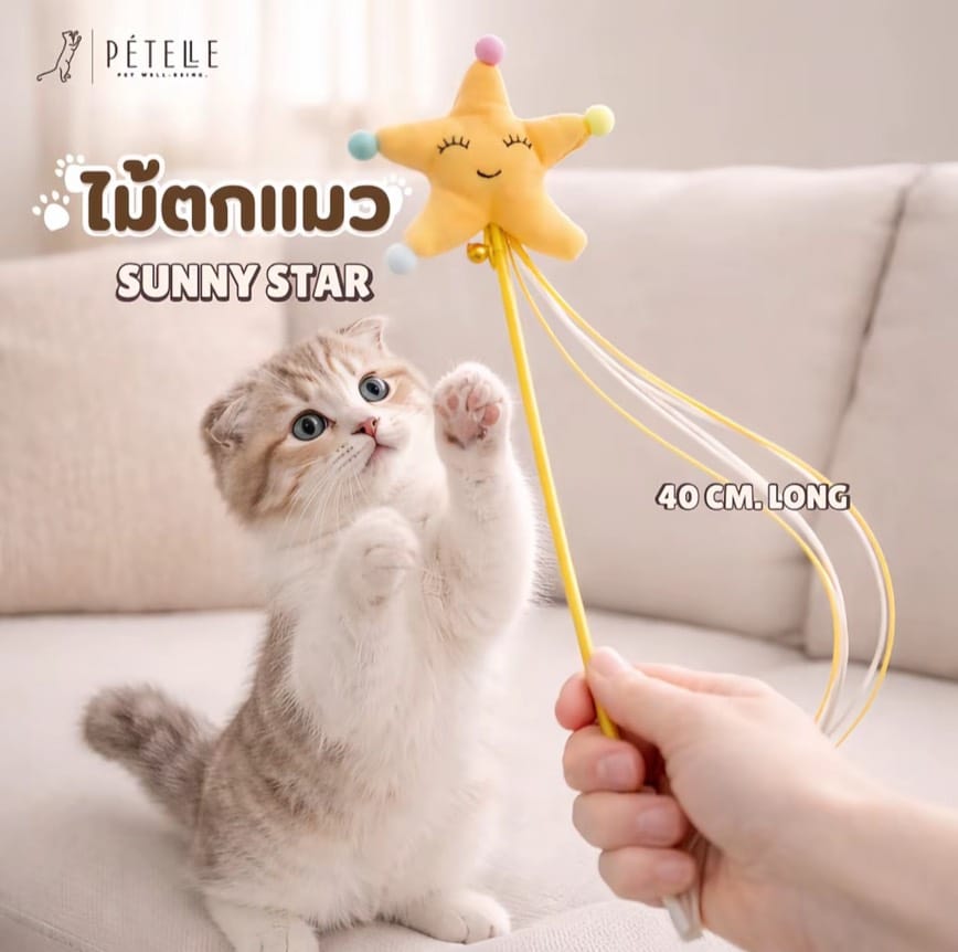 ชุดของเล่นแมว 3 ชิ้น PETELLE PLAY TIME SET_6
