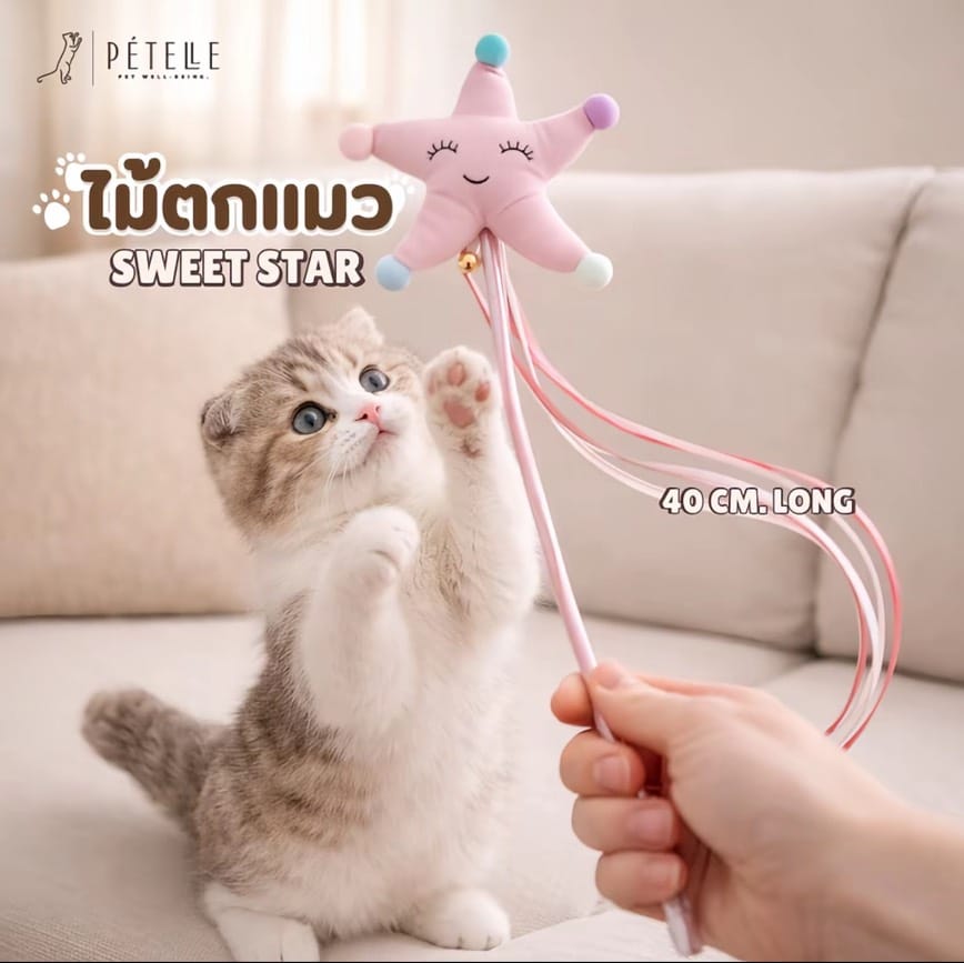 ชุดอุปกรณ์สำหรับแมว PETELLE 5 ชิ้น รุ่น CAT FUN SET_9