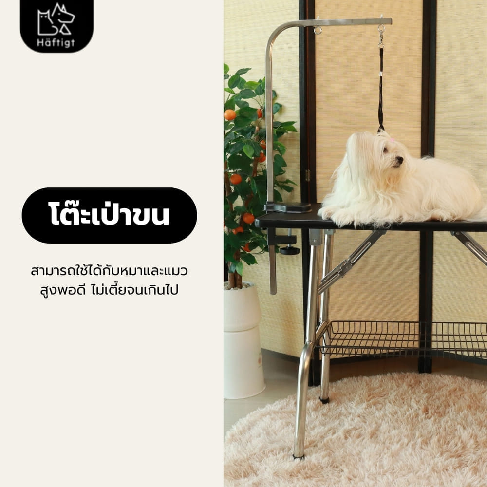 โต๊ะเป่าขนสัตว์เลี้ยง HAFTIGT ขนาด 55X95X78 ซม. สีดำ