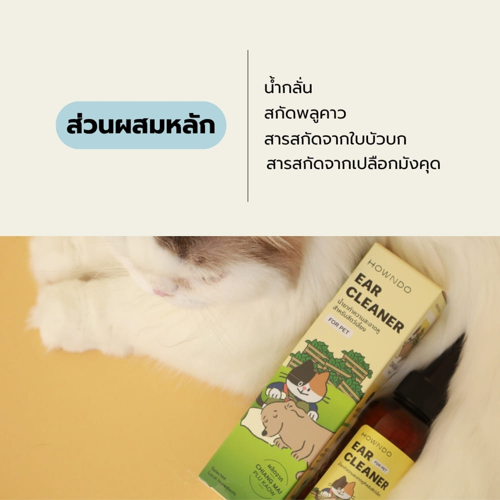 น้ำยาเช็ดหูสัตว์เลี้ยง HOWNDO พลูคาว สูตรอ่อนโยน 100 มล.
