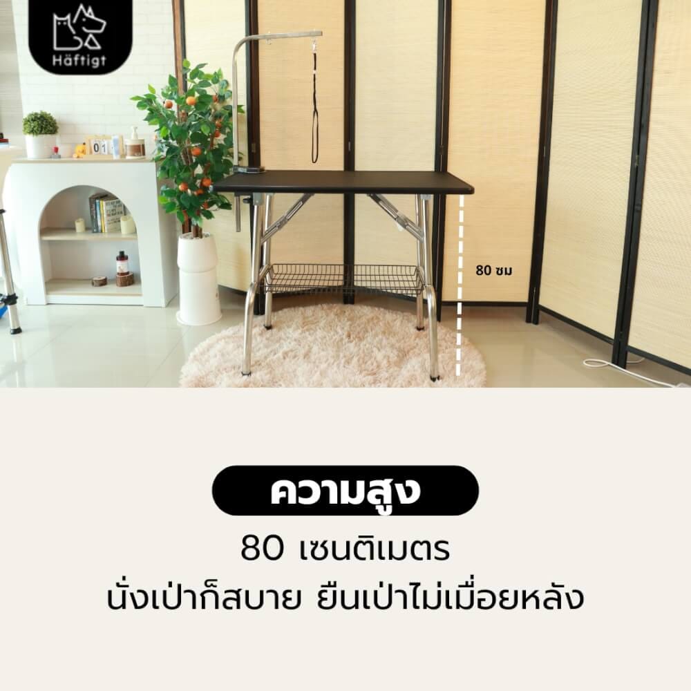 โต๊ะเป่าขนสัตว์เลี้ยง HAFTIGT ขนาด 55X95X78 ซม. สีดำ_5