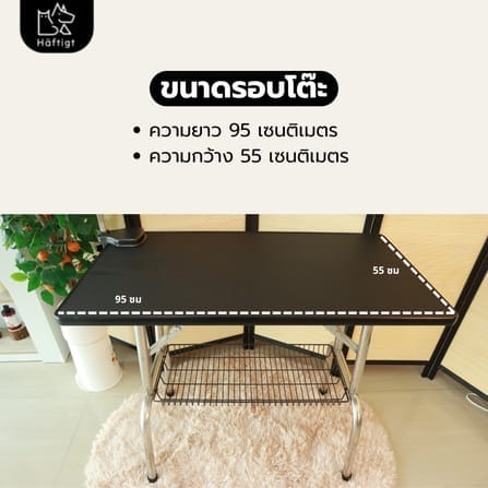 โต๊ะเป่าขนสัตว์เลี้ยง HAFTIGT ขนาด 55X95X78 ซม. สีดำ_6