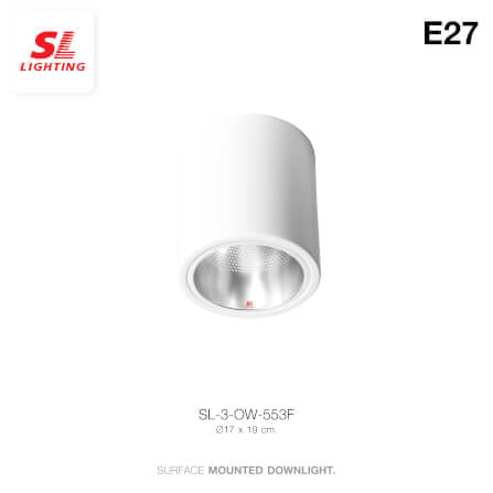 ดาวน์ไลท์ SL LIGHTING 553F กลม E27 สีขาว_1
