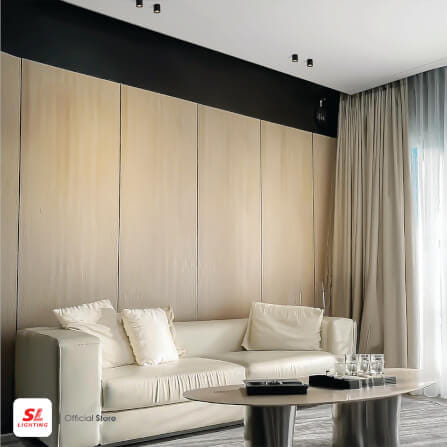 ดาวน์ไลท์ LED SL LIGHTING CYLIN กลม 3 วัตต์ WARM WHITE สีดำ 1 หัว_3
