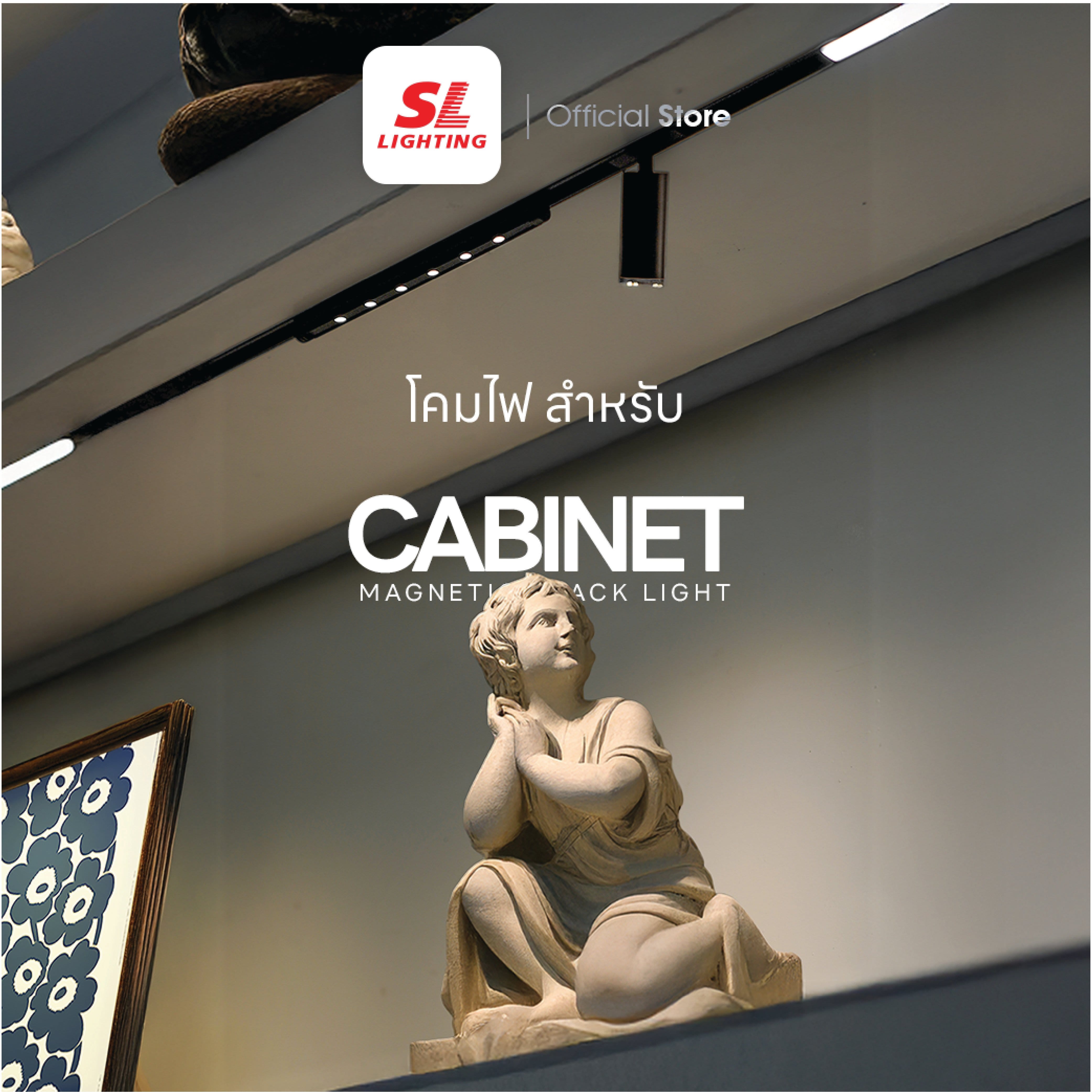 แทรคไลท์ LED แบบแม่เหล็ก SL LIGHTING CABINET 10มม. 1.5 วัตต์ 24 โวลต์ WARM WHITE สีดำ_1