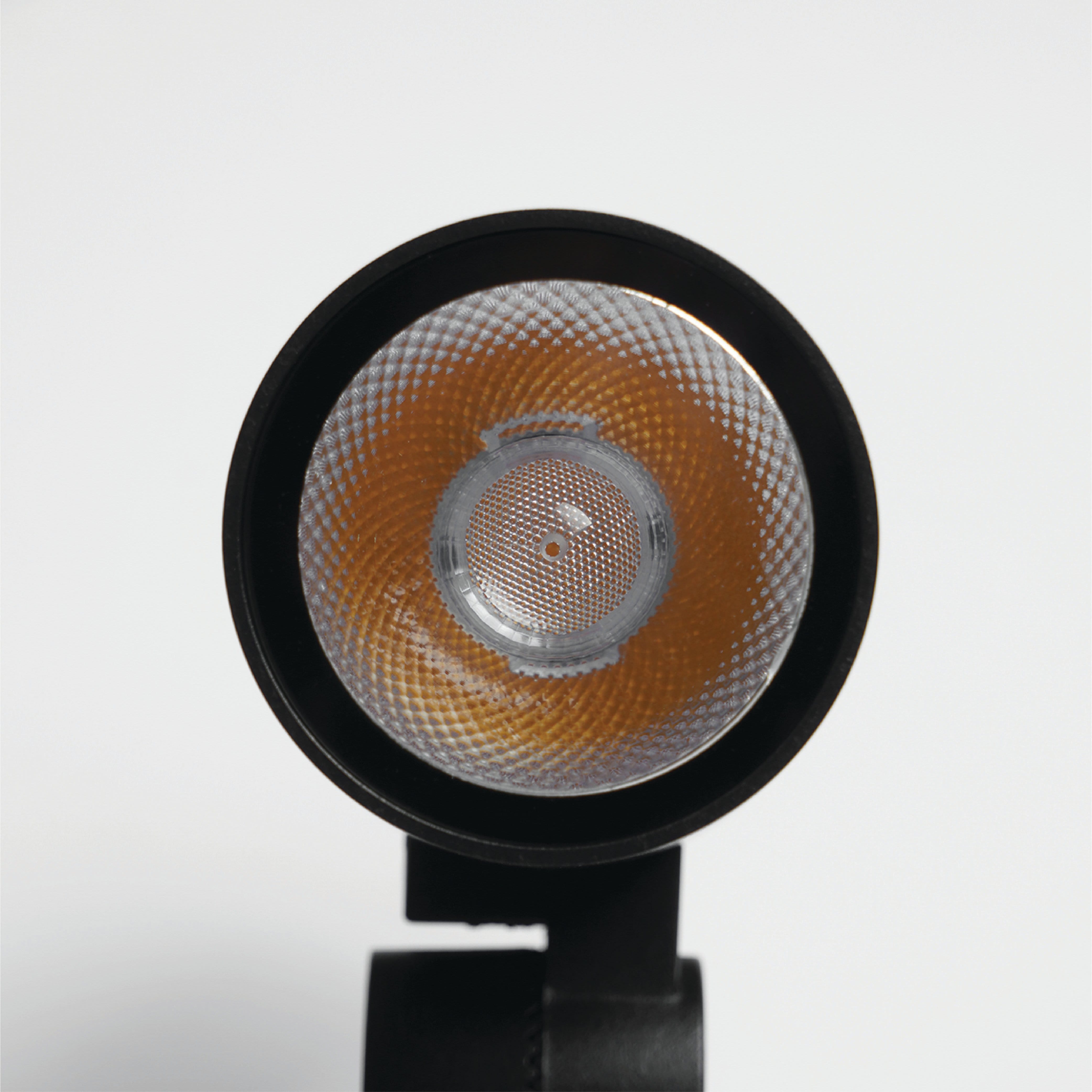 ไฟส่องต้นไม้ LED SL LIGHTING CHANIN 20 วัตต์ WARM WHITE สีดำ (ปักดิน)