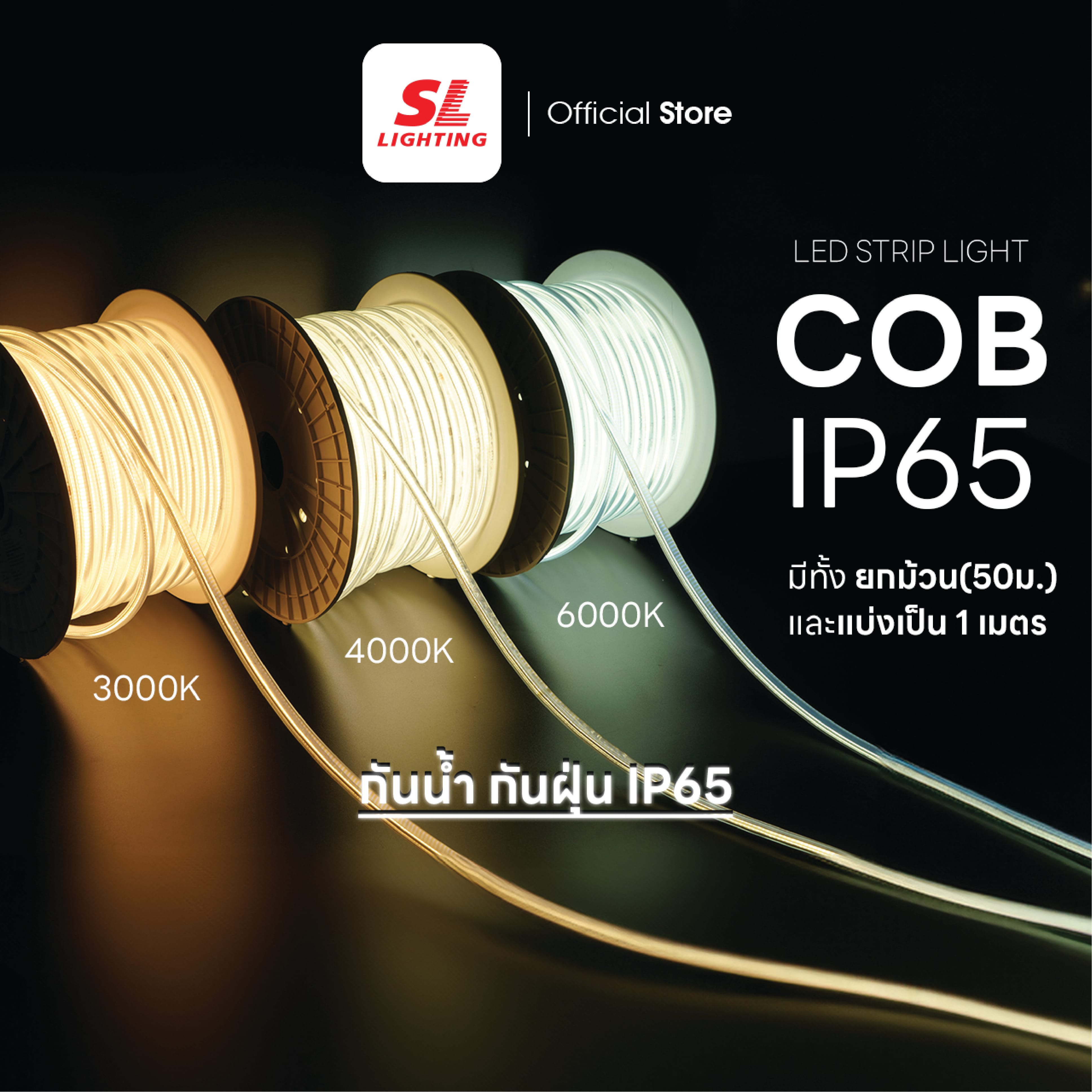 ไฟเส้น LED SL LIGHTING COB 220V 10 วัตต์ 50 เมตร COOL WHITE_4