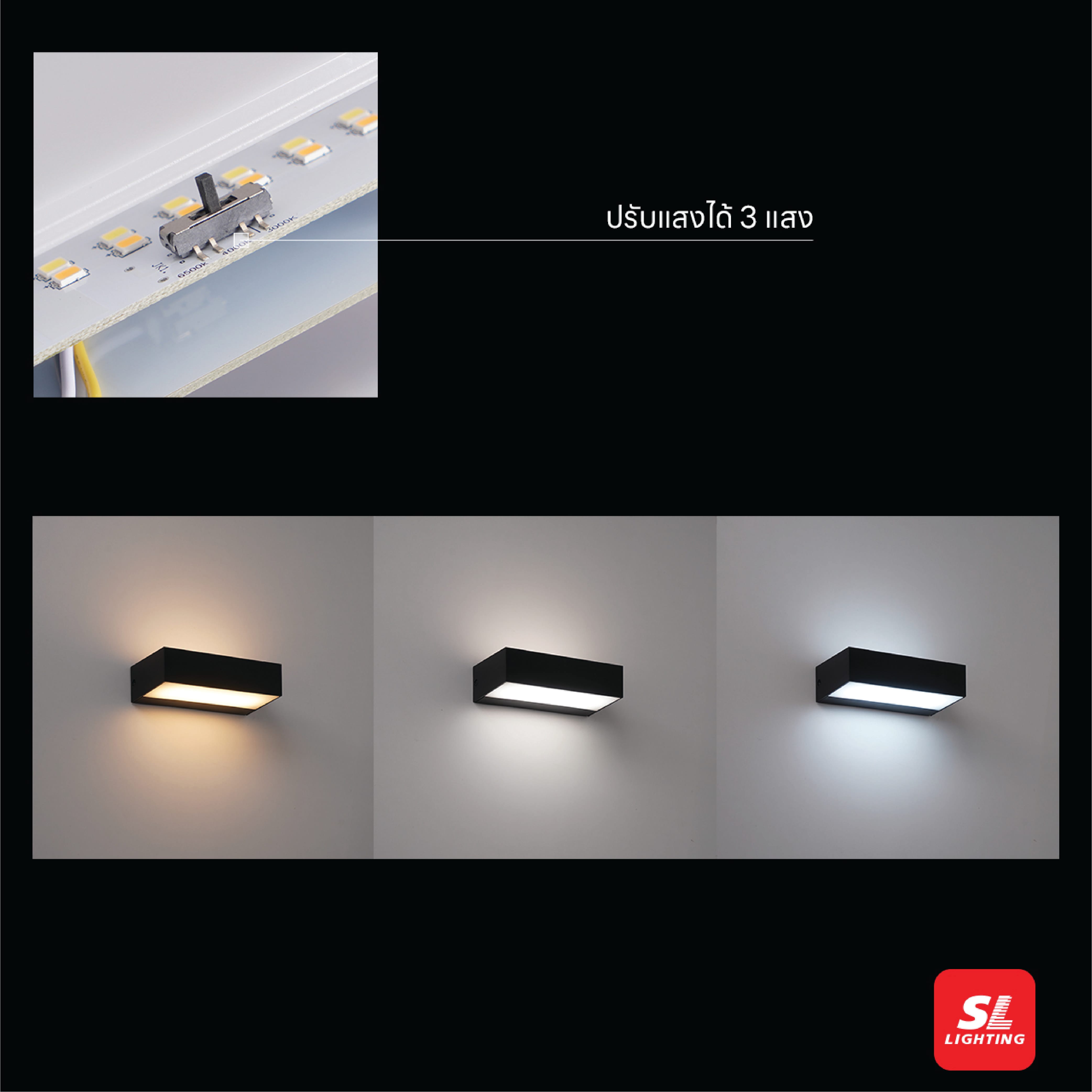 ไฟผนังภายนอก LED SL LIGHTING TER-RE 9 วัตต์ WARM WHITE/COOL WHITE/DAY LIGHT สีดำ