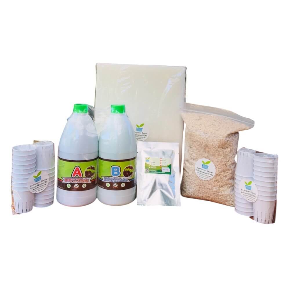 ชุดอุปกรณ์ปลูกผักไฮโดรโปนิกส์ HYDROHOBBY SET C_0