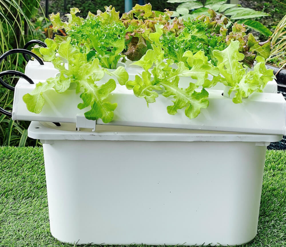 ชุดอุปกรณ์ปลูกพืชไฮโดรโปนิกส์ HYDROHOBBY แบบ 45 CM. 3 รางปลูก_3
