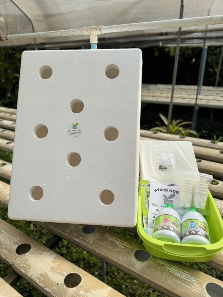 ชุดอุปกรณ์ปลูกผักไฮโดรโปนิกส์ HYDROHOBBY HYDRO FOAM BOX ขนาด 39 X 54 X 15 ซม.