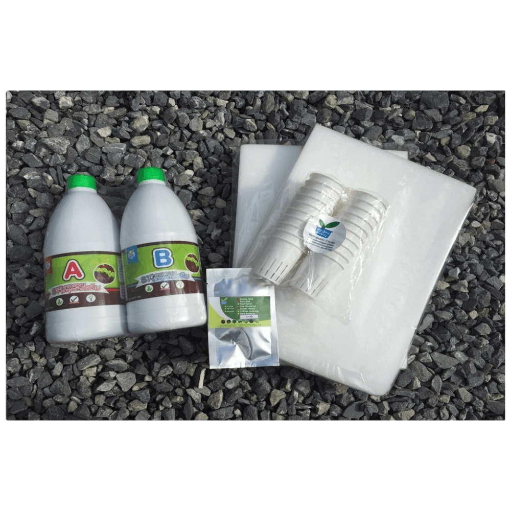 ชุดอุปกรณ์ปลูกผักไฮโดรโปนิกส์ HYDROHOBBY SET B_6