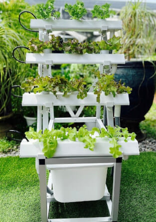 ชุดอุปกรณ์ปลูกผักไฮโดรโปนิกส์ HYDROHOBBY SR แบบ 50 CM. 4 รางปลูก_1