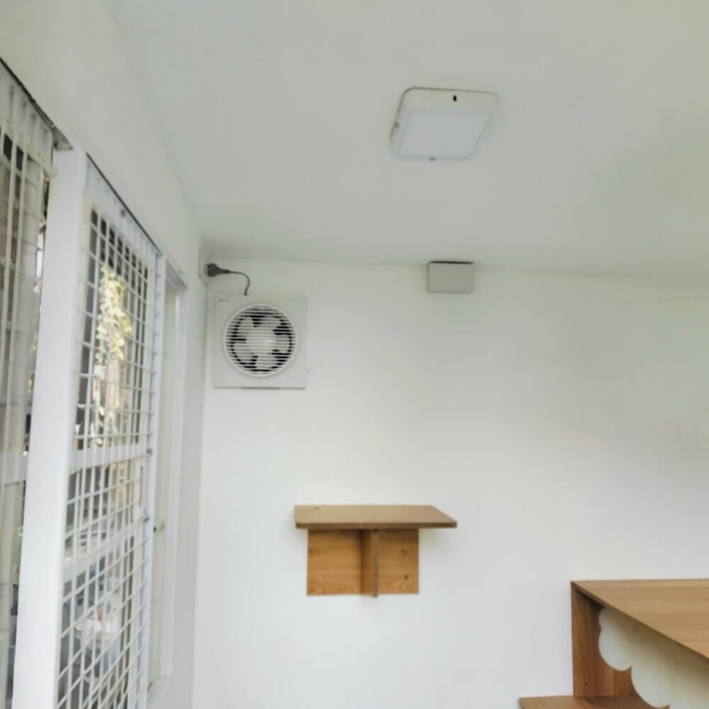 บ้านสัตว์เลี้ยง BIGBOXDESIGN รุ่น บ้านกระจก2โซน-BOXM02 ขนาด240X140X200 CM. สีชมพู-DEWAY ROSE