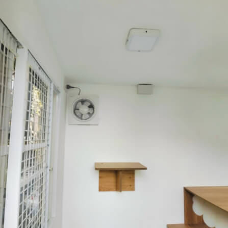 บ้านสัตว์เลี้ยง BIGBOXDESIGN รุ่น บ้านกระจก2โซน-BOXM02 ขนาด240X140X200 CM. สีชมพู-DEWAY ROSE_8