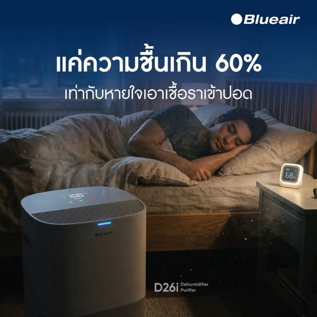 แผ่นกรองอากาศ BLUEAIR รุ่น D26I