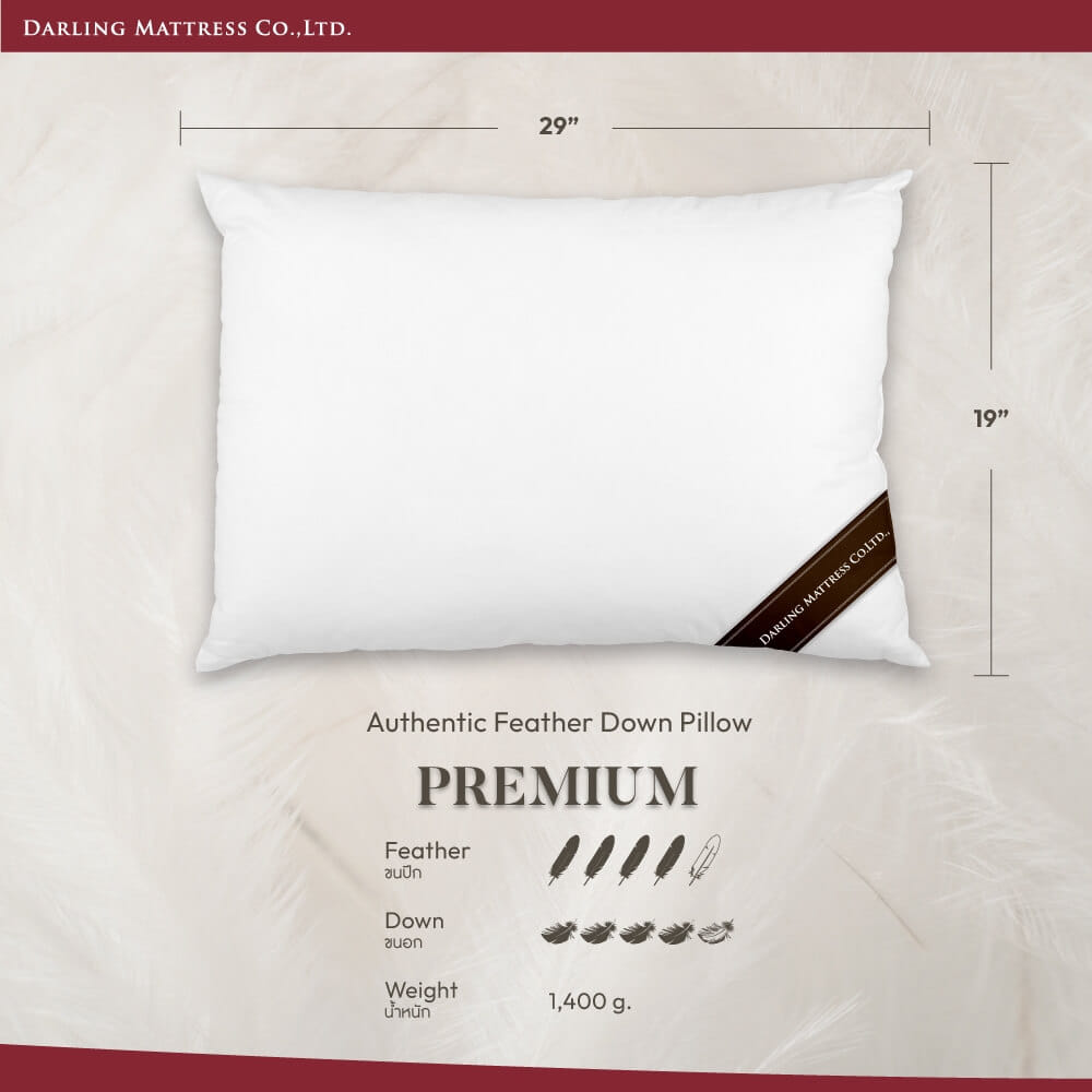 หมอนหนุน DARLING MATTRESS รุ่น FEATHERETT ขนเป็ดแท้ 100%_1