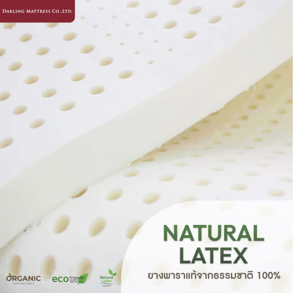 ที่นอนยางพาราแท้หุ้มผ้าเทนเซล ขนาด 3.5 ฟุต DARLING MATTRESS รุ่นพาราพีดิก_2