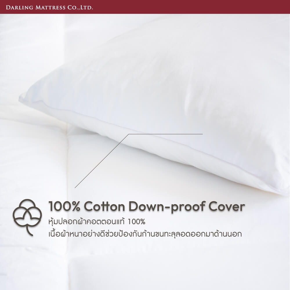 หมอนหนุน DARLING MATTRESS รุ่น FEATHERETT ขนเป็ดแท้ 100%_2