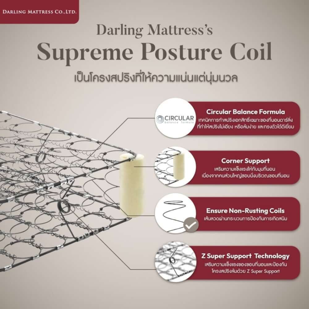 ที่นอนสปริงแบบนุ่ม 6 ฟุต DARLING MATTRESS รุ่นแบ็คแคร์ออร์โธพีดิค_3