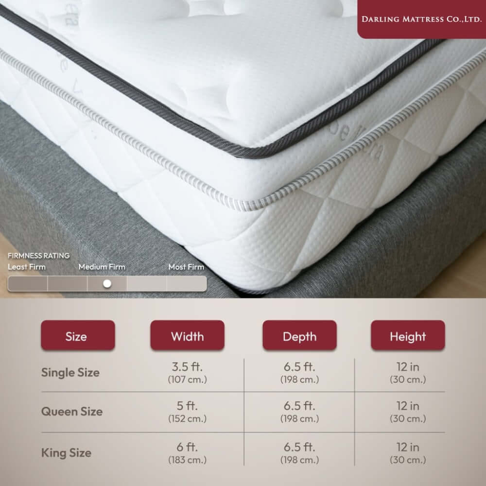 ที่นอนสปริงแบบนุ่ม 6 ฟุต DARLING MATTRESS รุ่นแบ็คแคร์ออร์โธพีดิค_6