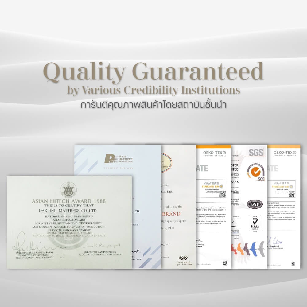 ชุดผ้าปูผ้านวม 3.5 ฟุต DARLING MATTRESS รุ่น2 สี 2 สไตล์ ลายริวารี่