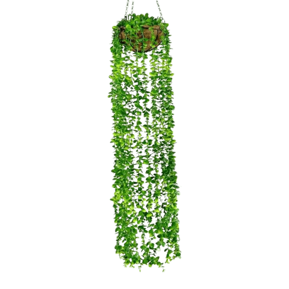 ไม้เลื้อยปลอม PIMARN รุ่น PID021 สูง 110 CM - สีเขียวเข้ม แบบแขวนกระถางใยมะพร้าว