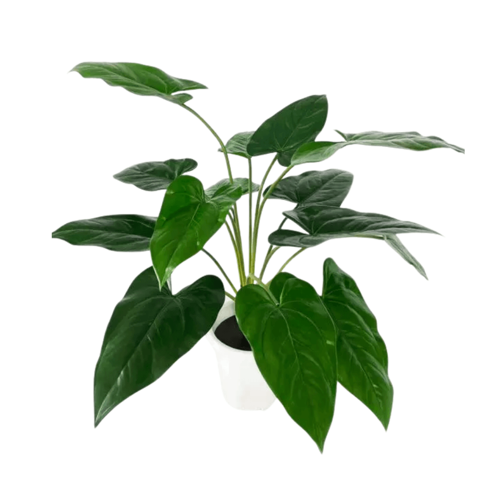 ต้นว่านนางกวักใบโพธิ์ปลอม PIMARN รุ่น PID300 สูง 60 CM - 14 ใบ