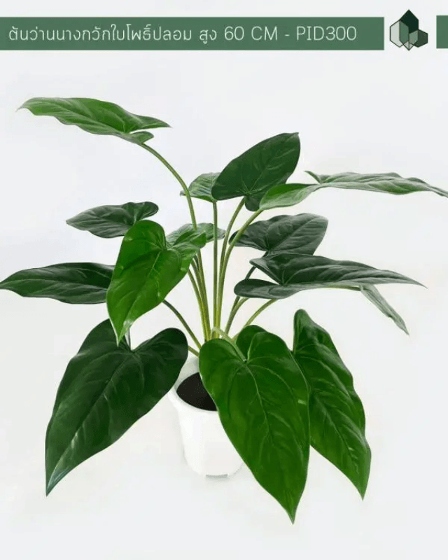 ต้นว่านนางกวักใบโพธิ์ปลอม PIMARN รุ่น PID300 สูง 60 CM - 14 ใบ