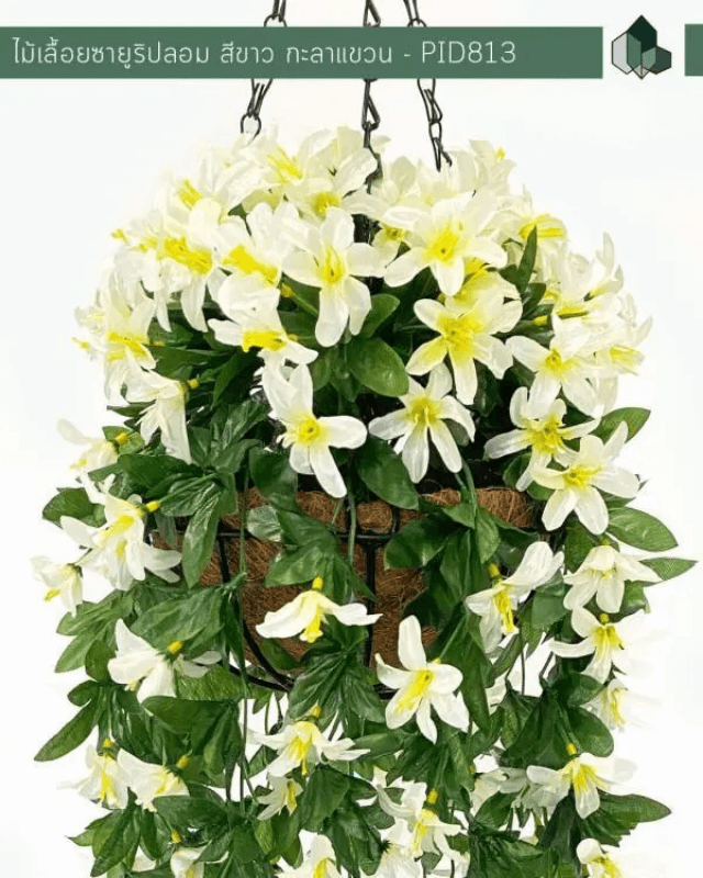 ไม้เลื้อยซายูริปลอม PIMARN รุ่น PID813 ยาว 70 ซม.สีขาว,แบบแขวนกระถางใยมะพร้าว