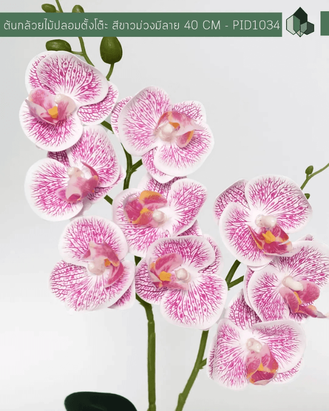 ดอกกล้วยไม้ปลอม PIMARN รุ่น PID1034 สูง 40 ซม.- สีขาวม่วง พร้อมกระถาง