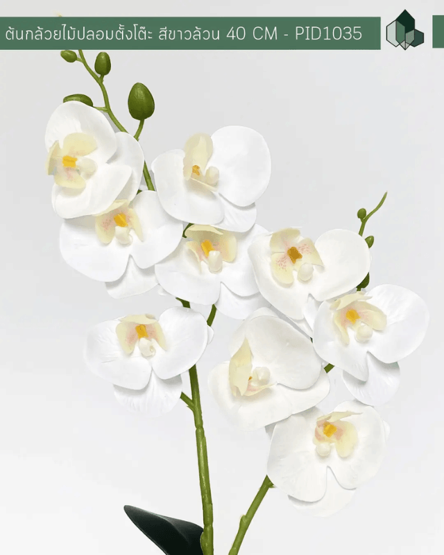 ดอกกล้วยไม้ปลอม PIMARN รุ่น PID1035 สูง 40 ซม.,สีขาว พร้อมกระถาง