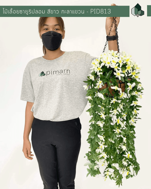 ไม้เลื้อยซายูริปลอม PIMARN รุ่น PID813 ยาว 70 ซม.สีขาว,แบบแขวนกระถางใยมะพร้าว