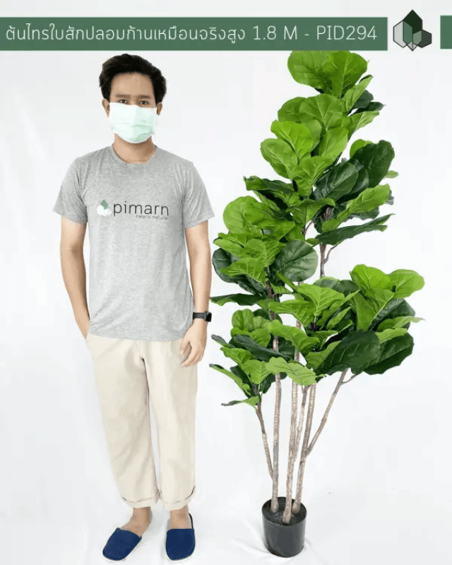 ต้นไทรใบสักปลอม PIMARN รุ่น PID294 สูง 1.8 เมตร ก้านเสมือนจริง