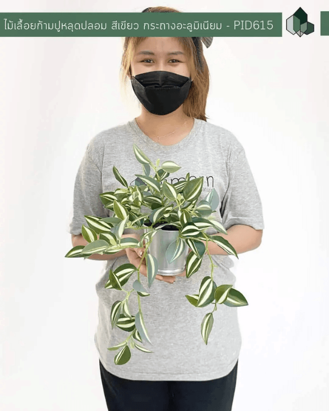 ไม้เลื้อยก้ามปูหลุมปลอม PIMARN รุ่น PID615 ต้นไม้ปลอมตั้งโต๊ะ,กระถางอะลูมิเนียม