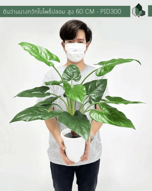 ต้นว่านนางกวักใบโพธิ์ปลอม PIMARN รุ่น PID300 สูง 60 CM - 14 ใบ