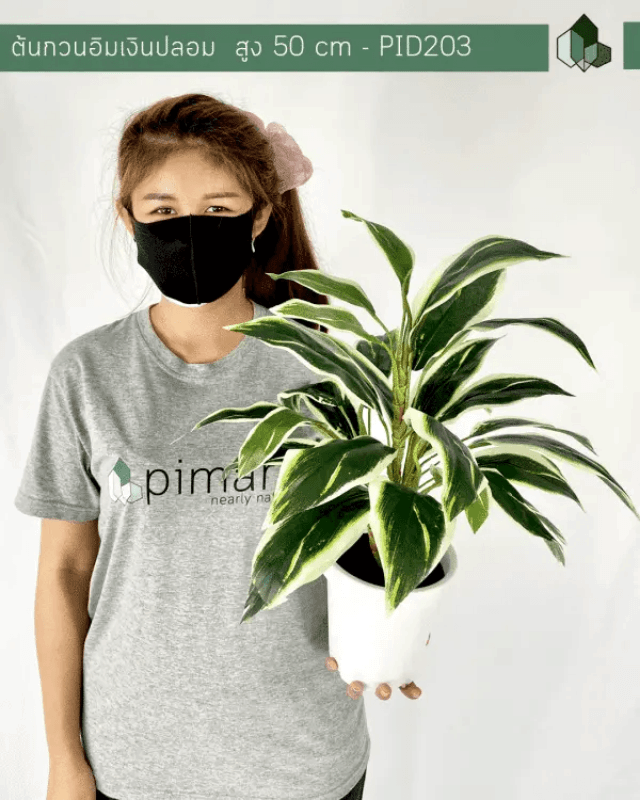 ต้นกวนอิมเงินปลอม PIMARN รุ่น PID203 สูง 50 CM