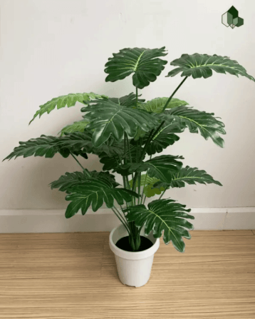 ต้นซานาดูปลอม PIMARN รุ่น PID091 สูง 70 CM,18 ใบ_1